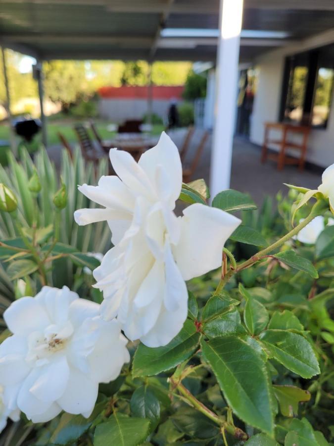 Ayana Bnb Bloemfontein Extérieur photo
